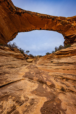 Water Marks Under Sipapu Bridge, Natural Bridges National Monume