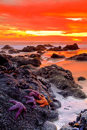 2010 Share the Experience Official Federal Recreation Lands PHOTO CONTEST 3rd Place Winner