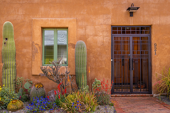 Barrio Viejo #17, Tucson, AZ