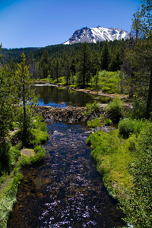 Beaver Dam Below Lassen Peak