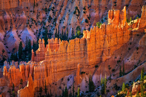 Ebenezer's Kingdom, Bryce Canyon
