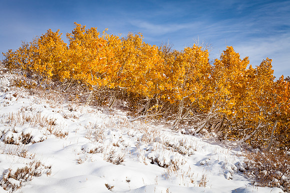 Aspen Powder, Conway Summit