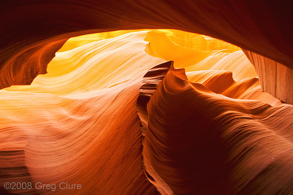 First of Two Finalists, Zenfolio Feature Image Contest