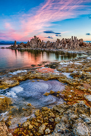 Toxic Morning, Mono Lake