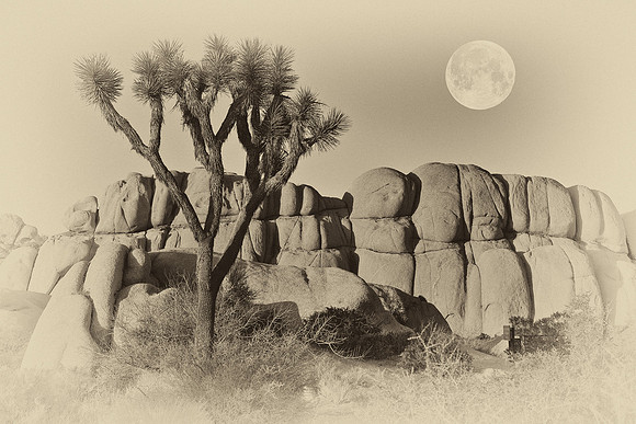Jumbo Rocks Moonscape, Joshua Tree National Park (Antique Plate)